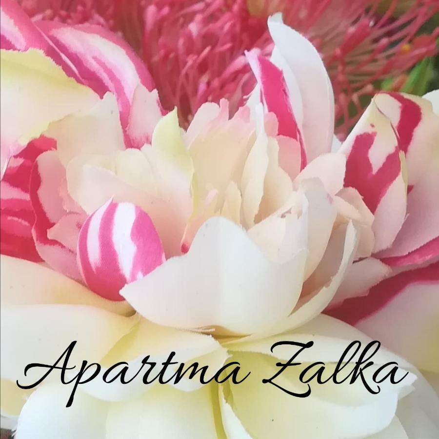 Apartma Zalka Izola Buitenkant foto