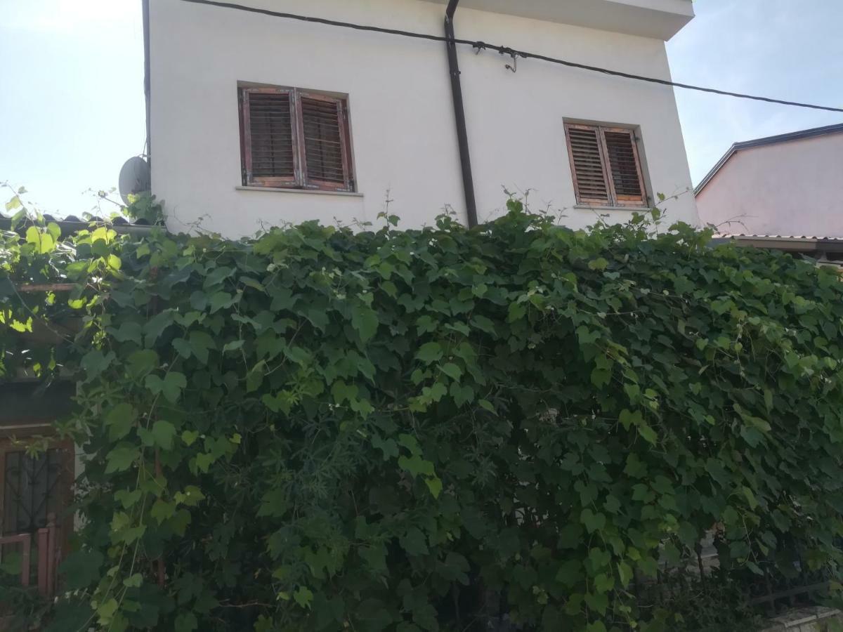 Apartma Zalka Izola Buitenkant foto