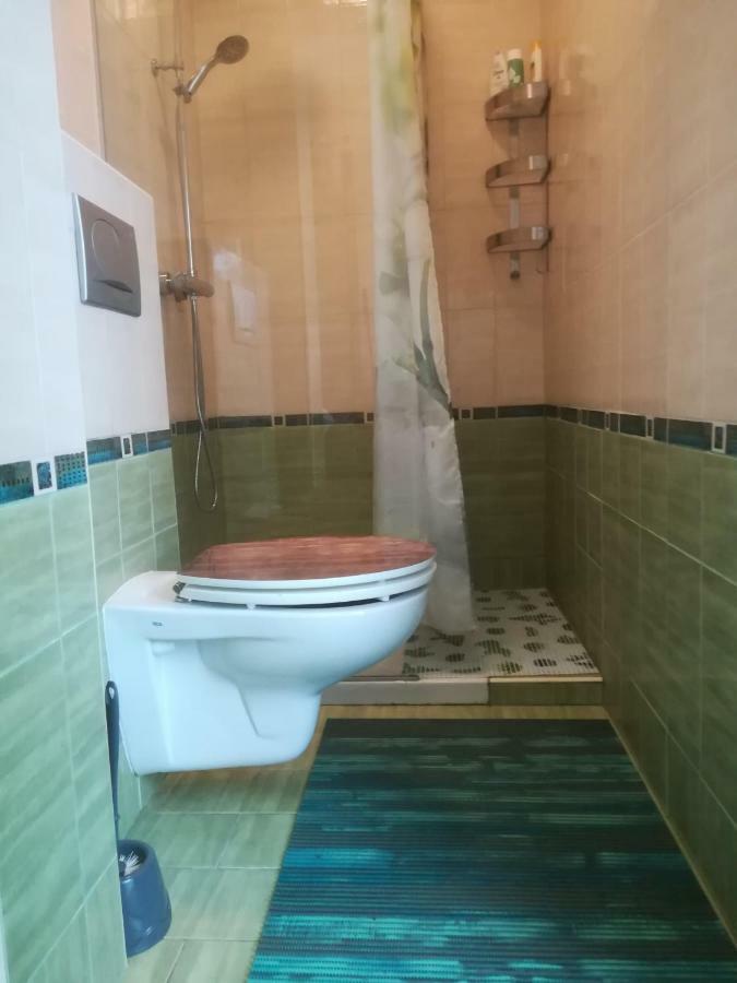 Apartma Zalka Izola Buitenkant foto
